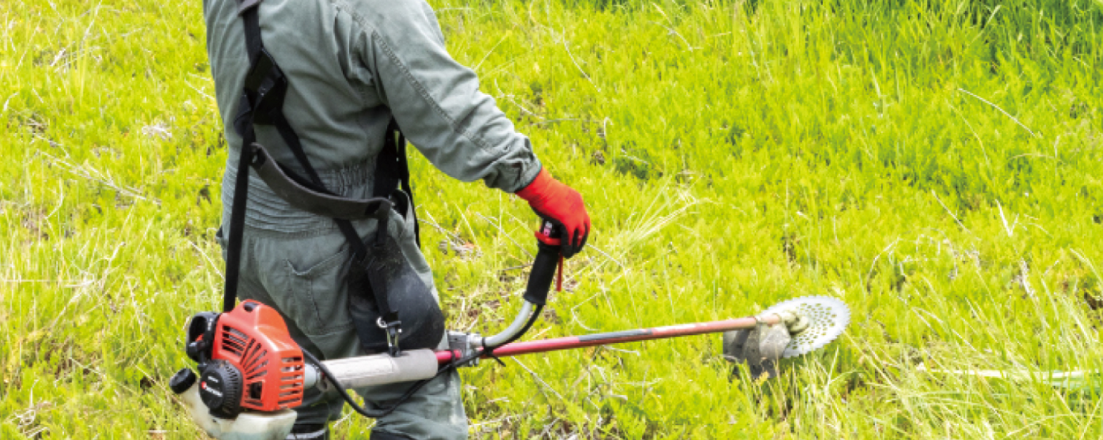 除草作業